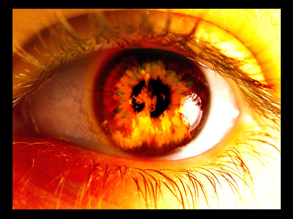 Eyes