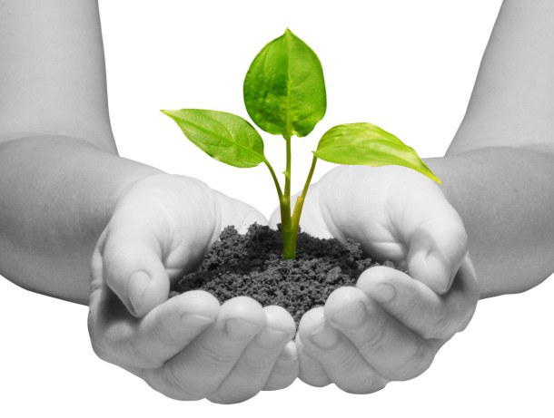 conscious-entrepreneurs-e1366481738531