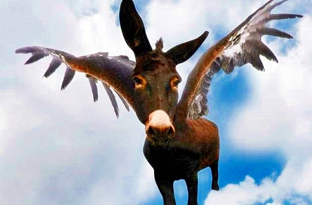 flying