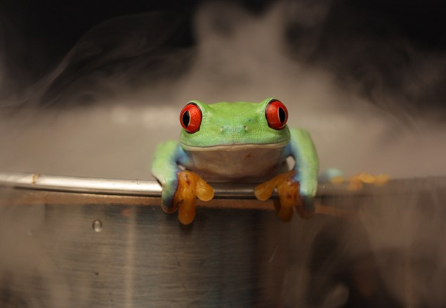 Boiling frog