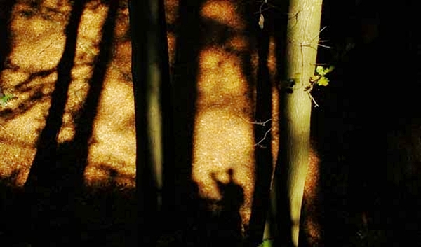 lost overnight in woods