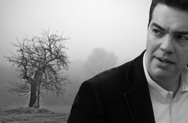 tsipras